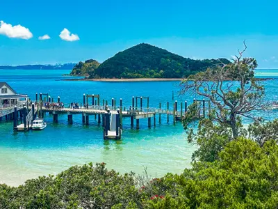 Paihia / Bay of Islands, marina in Bay of Islands, New Zealand — photo 4