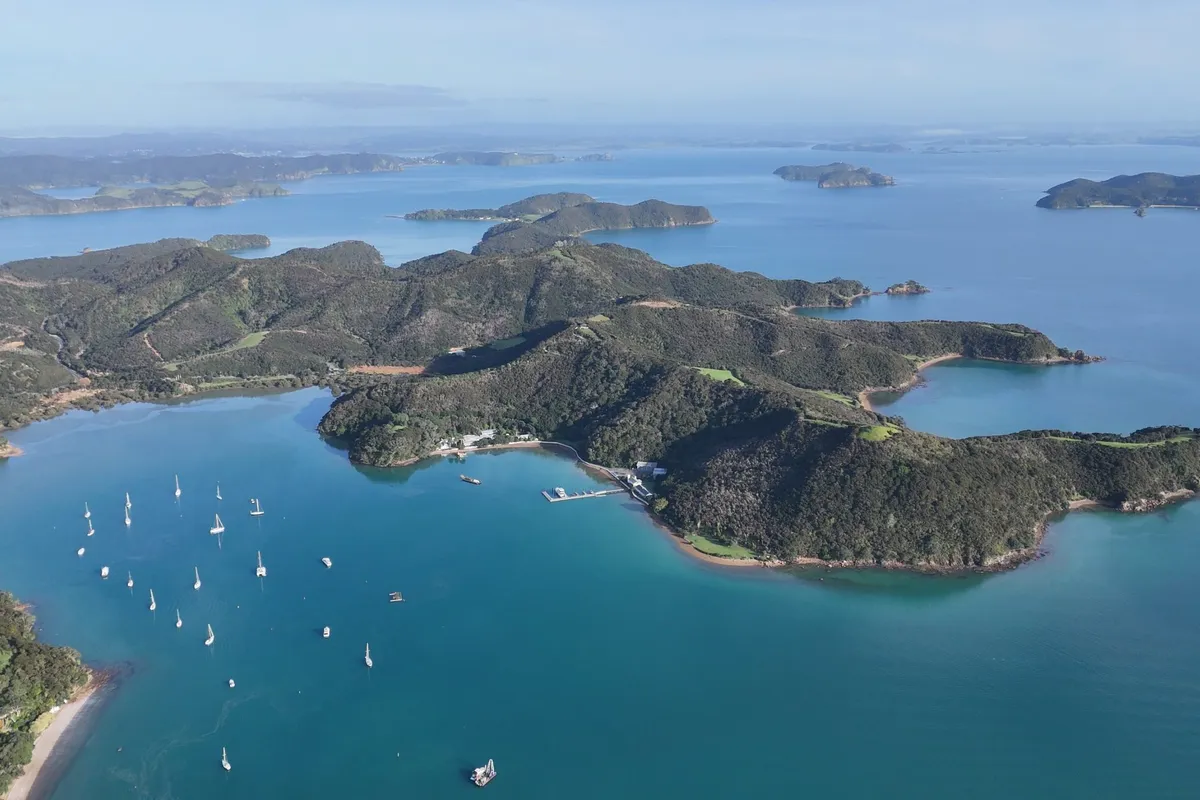Paihia / Bay of Islands, marina in Bay of Islands, New Zealand — photo 5