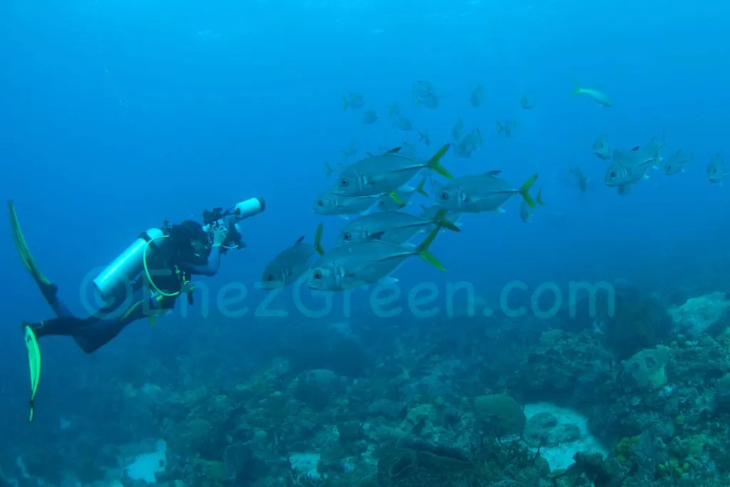 Soufriere Marina in Saint Lucia — photo 7