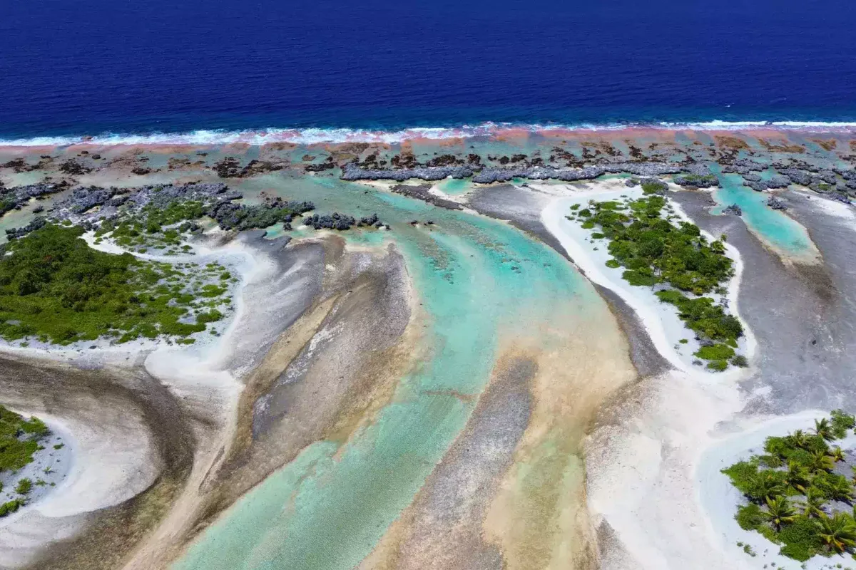 Rangiroa Marina — photo 5