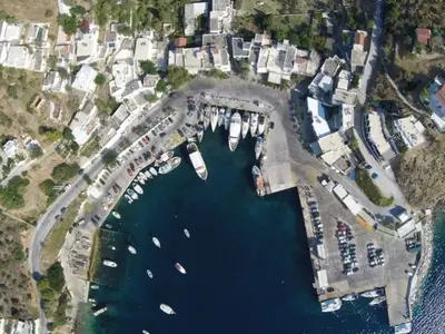 Linaria Marina