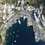 Linaria Marina