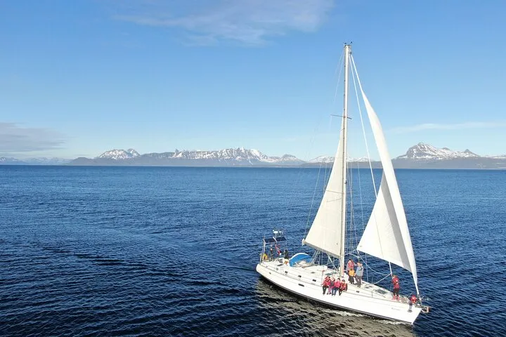 Seil Bifrost AS Marina in Harstad, Norway — photo 5