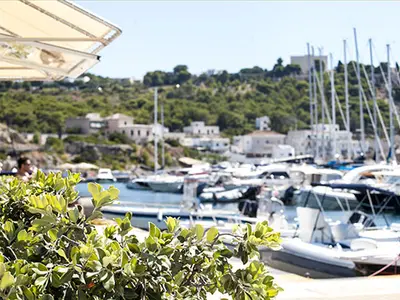 Porto Turistico Marina di Leuca in Santa Maria di Leuca, Italy — photo 4