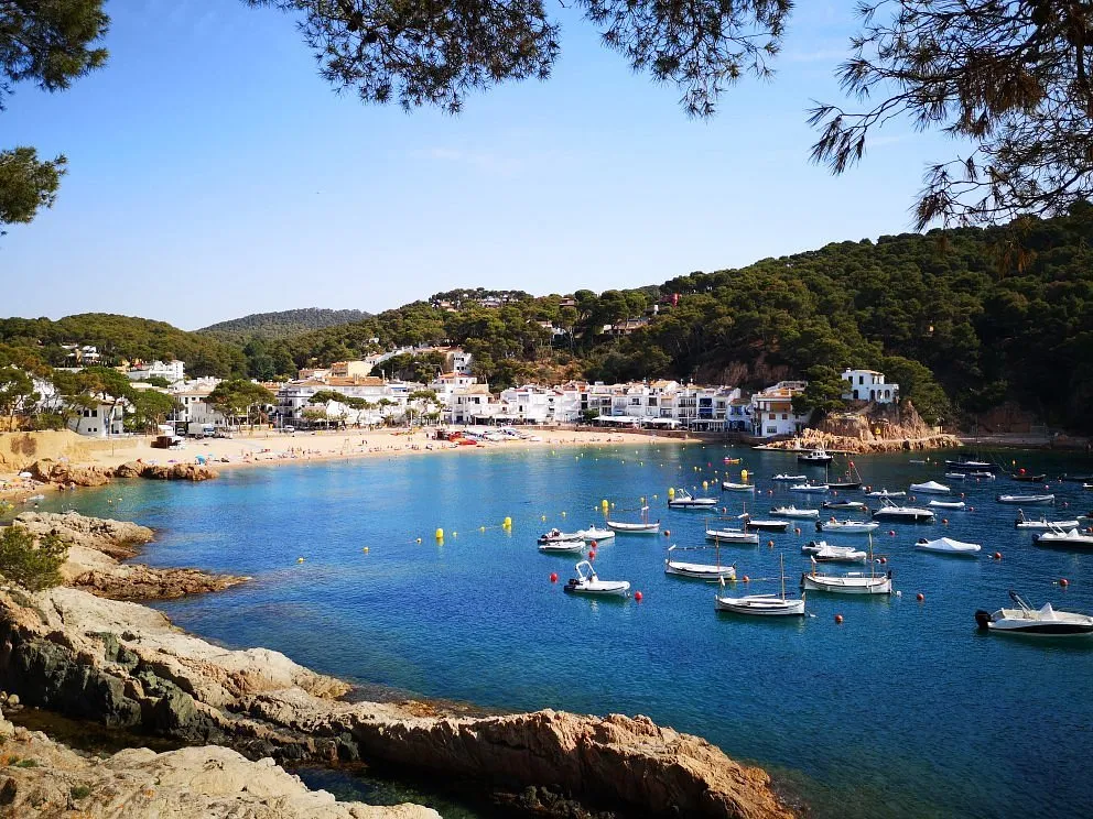 Embarcadero Tamariu Marina in Palafrugell, Spain — photo 2
