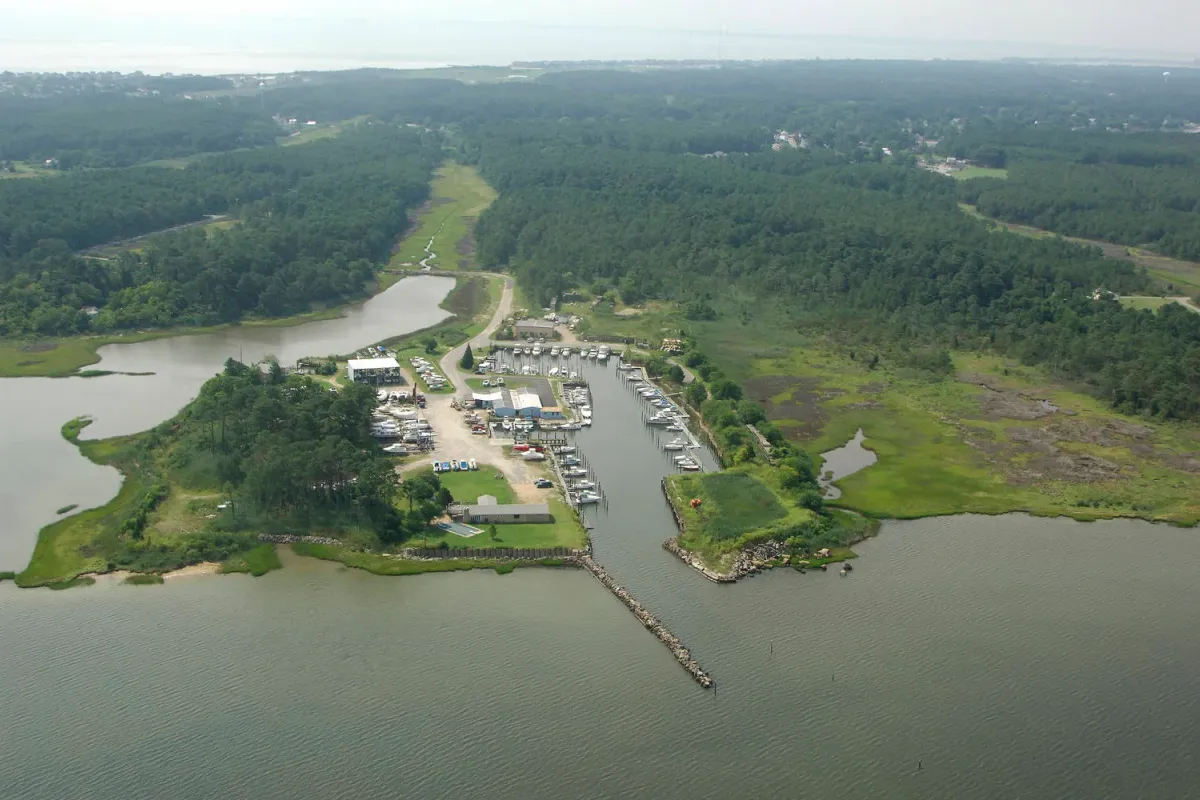 Dandy Haven Marina in Hampton, United States