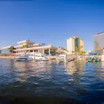 SeaEO Tampa Marina