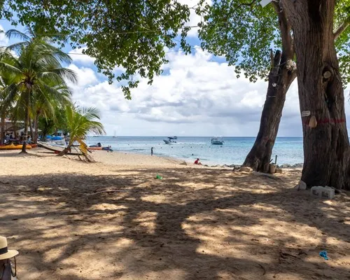 Holetown Beach, marina in Holetown, Barbados — photo 2