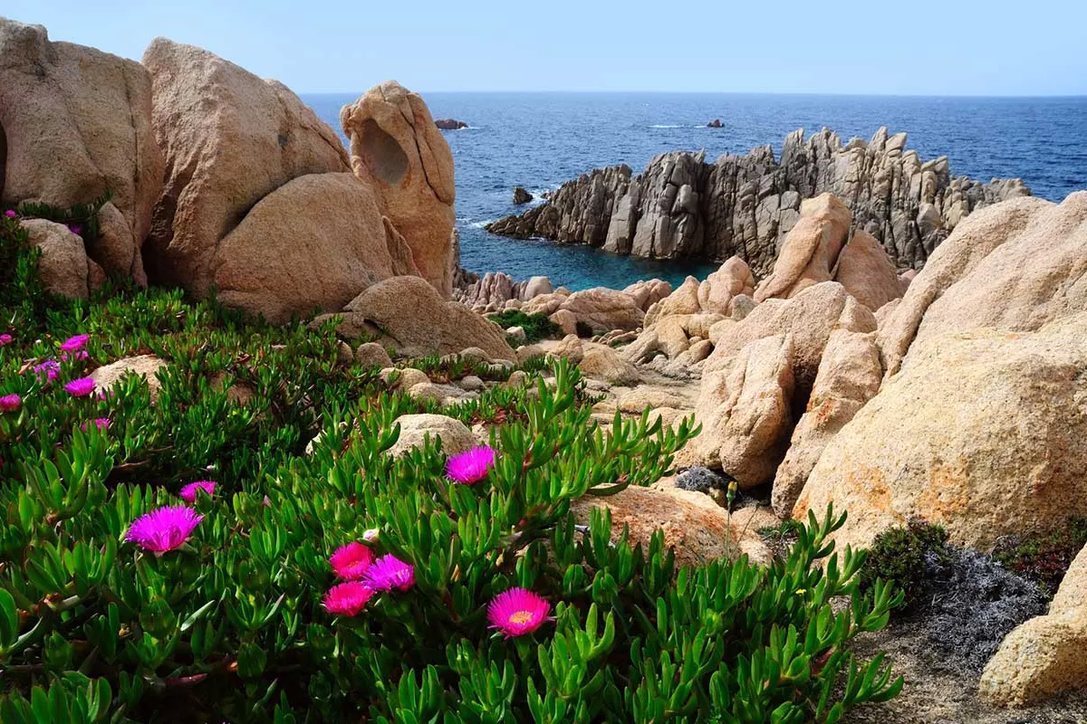 Rena Majori Bay in Lungòni/Santa Teresa Gallura, Italy — photo 8