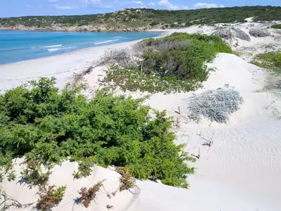 Spiaggia Delle Dune, anchorage in Lu Palau/Palau, Italy — photo 2