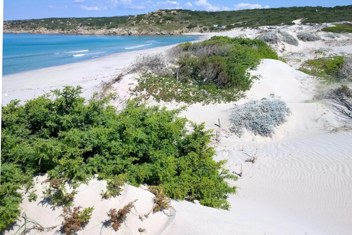 Spiaggia Delle Dune, anchorage in Lu Palau/Palau, Italy — photo 2