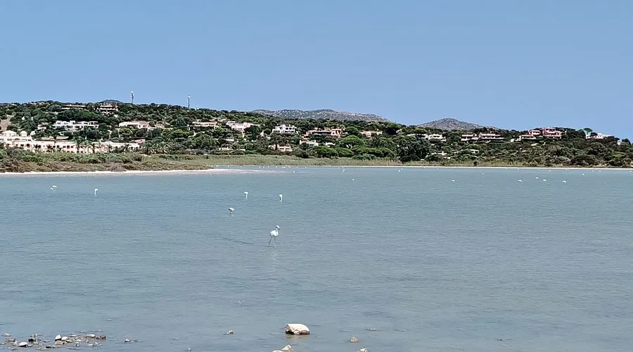 Spiaggia di Porto Giunco, anchorage in Crabonaxa/Villasimius, Italy — photo 9