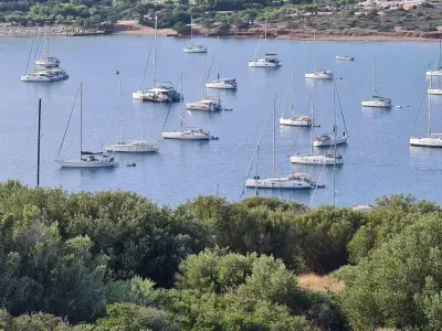 Port Palaia Fokaia Marina