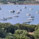 Port Palaia Fokaia Marina