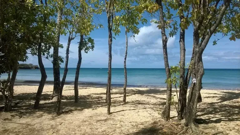 Anse Tonnoir, anchorage in Le Marin — photo 7