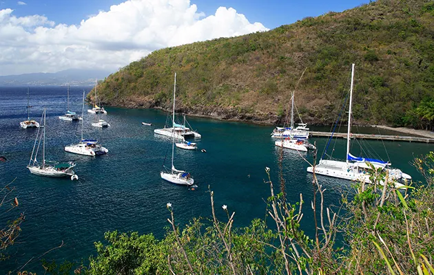 Anse Tonnoir, anchorage in Le Marin — photo 5