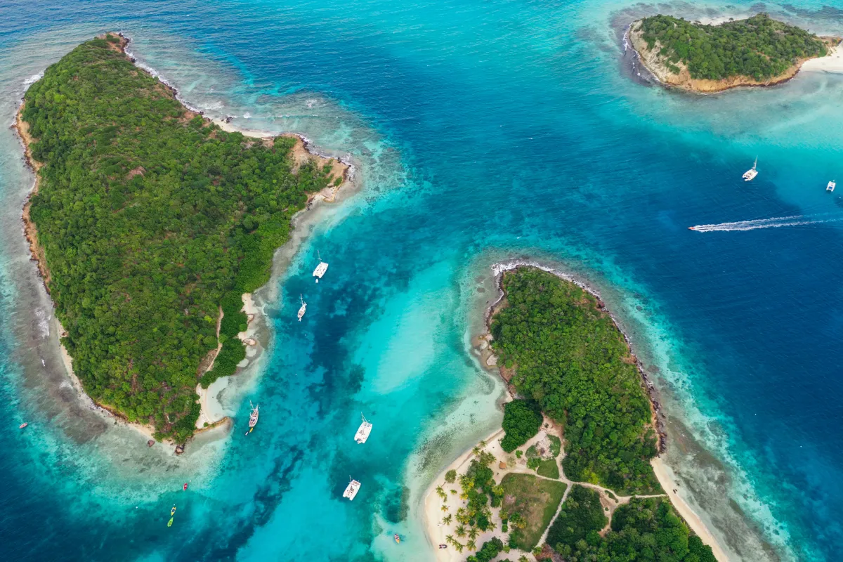 Tobago Cays Anchorage in Clifton, Saint Vincent and the Grenadines — photo 8