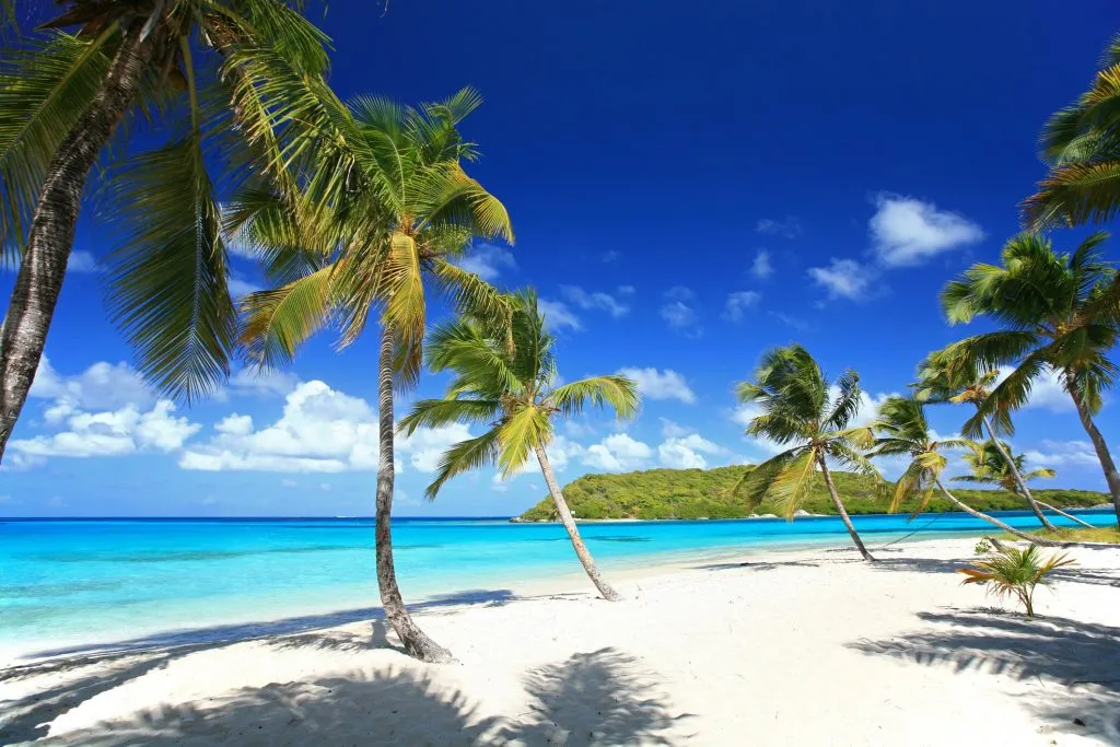 Tobago Cays Anchorage in Clifton, Saint Vincent and the Grenadines — photo 7