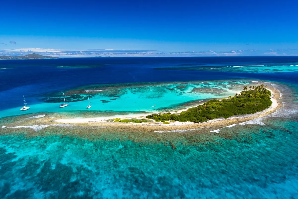 Tobago Cays Anchorage in Clifton, Saint Vincent and the Grenadines — photo 5