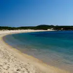 Razza di Junco