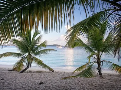 Salomon Bay, anchorage in Saint Thomas - Saint John District — photo 5