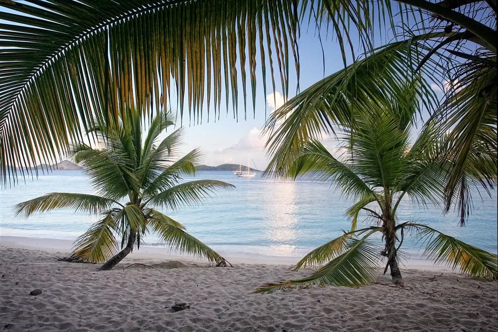 Salomon Bay, anchorage in Saint Thomas - Saint John District — photo 5