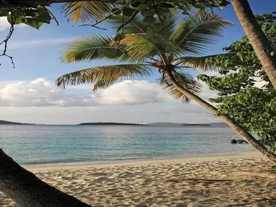 Salomon Bay, anchorage in Saint Thomas - Saint John District — photo 4