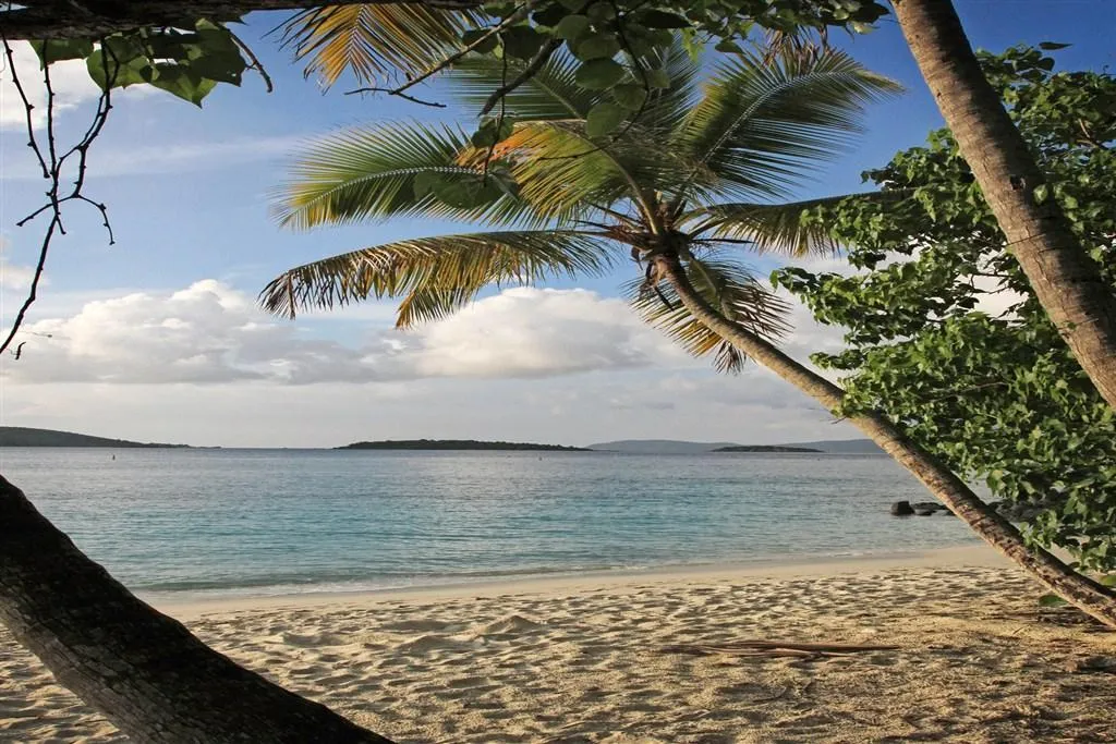 Salomon Bay, anchorage in Saint Thomas - Saint John District — photo 4