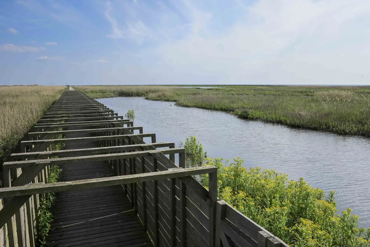 Marker Wadden, stop — photo 8