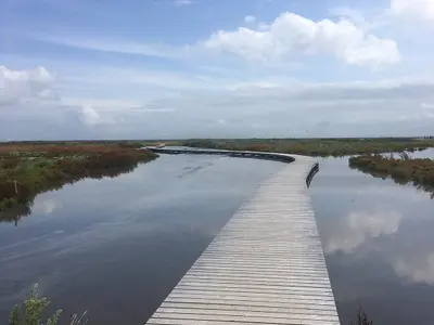 Marker Wadden, stop — photo 4