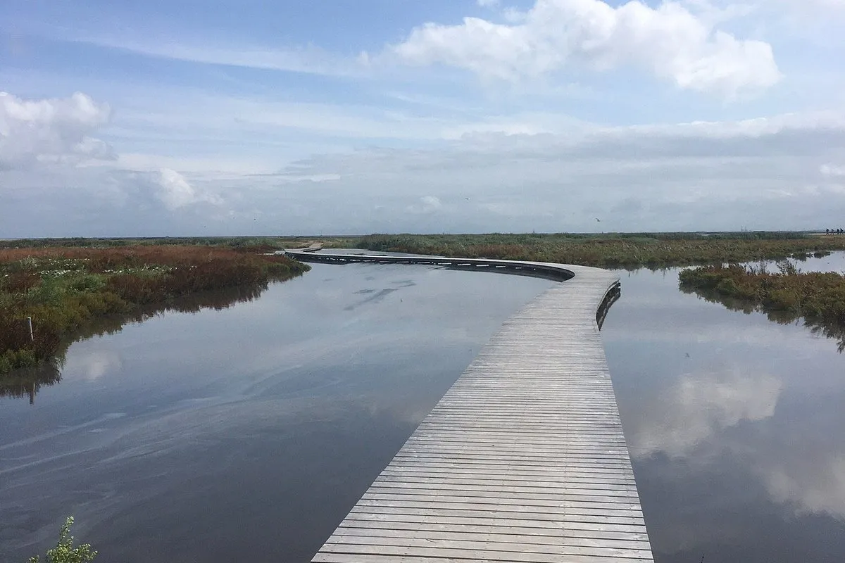 Marker Wadden, stop — photo 4