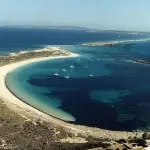 s'Alga