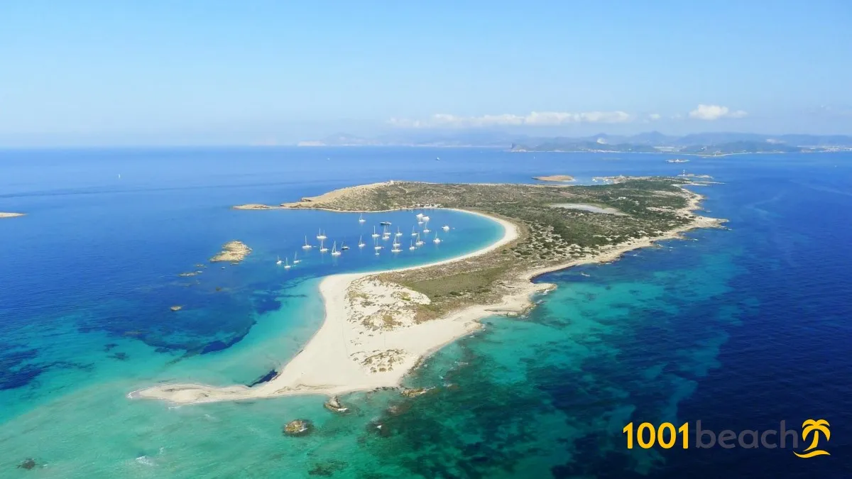s'Alga, stop in Formentera — photo 3