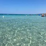 Lido Conchiglie