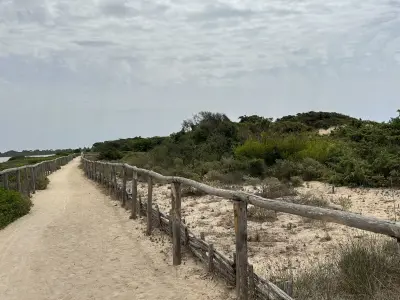 Punta dei Monaci, stop — photo 3