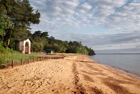 Osborne Bay, stop — photo 8