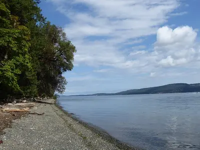 Osborne Bay, stop — photo 5