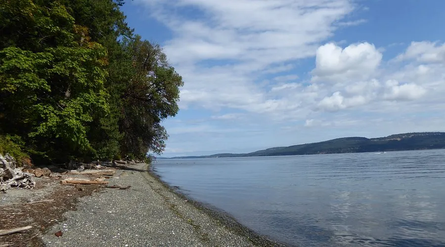 Osborne Bay, stop — photo 5
