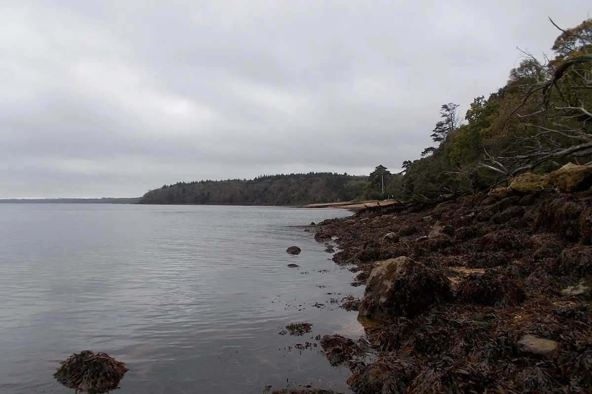Osborne Bay, stop