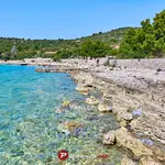 Žalo Krknjaš Anchorage