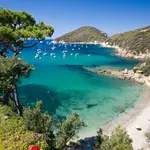 Golfo di Viticcio