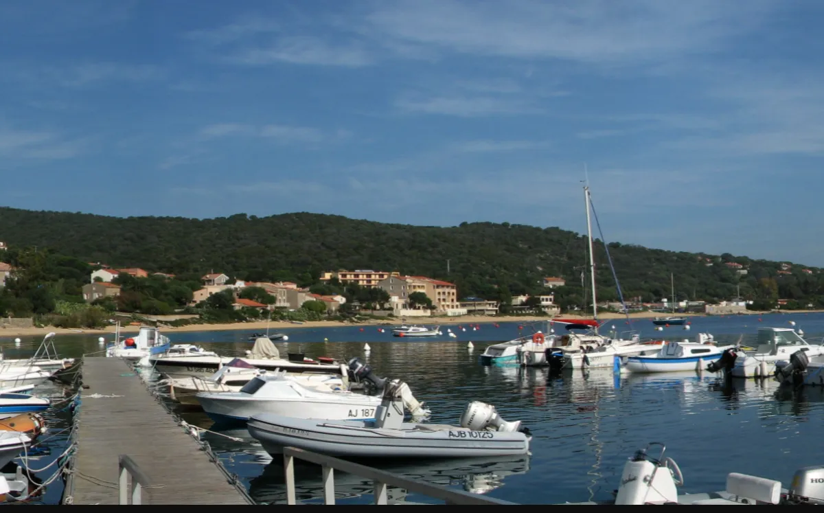 Port Jean-Baptiste Tomi, marina in Serra-di-Ferro, France — photo 2