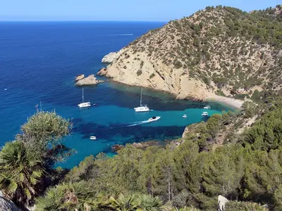 Comellar de Cala Egos, stop in Port d'Andratx — photo 3