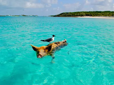 Hurricane Hole 1, stop in Exuma, Bahamas — photo 3