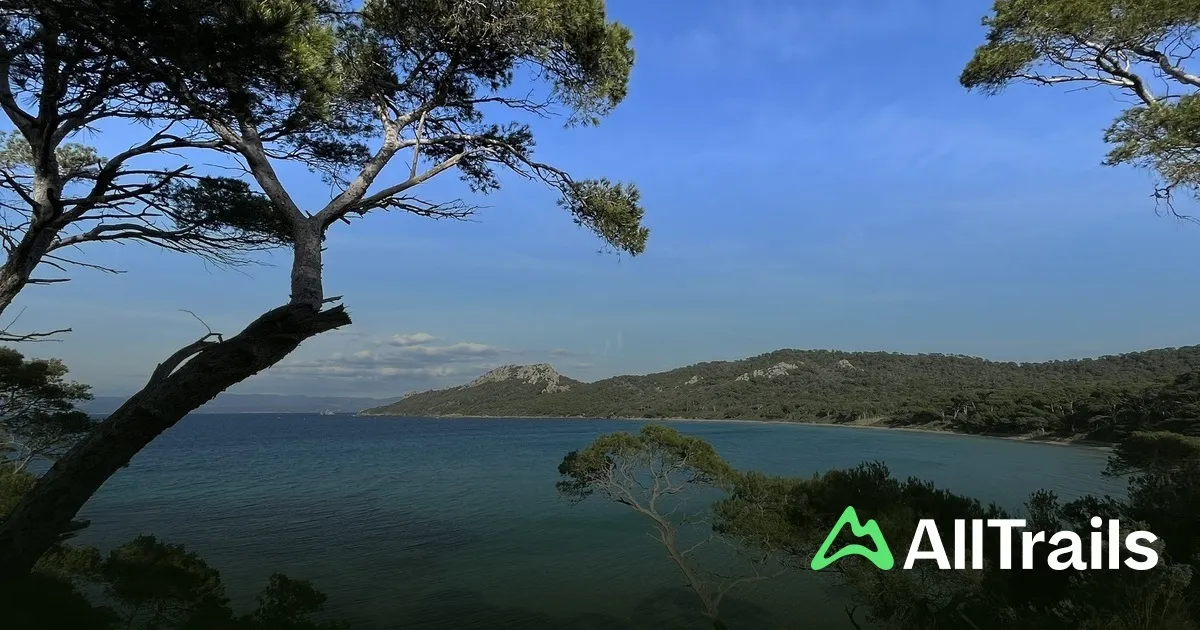 Anse de Bon-Renaud, stop in Hyères