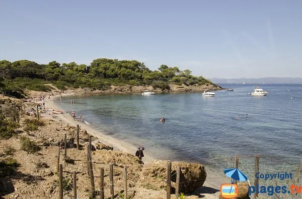 Anse de Bon-Renaud, stop in Hyères — photo 2