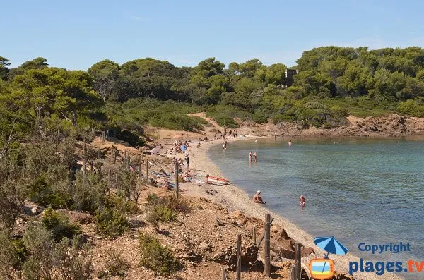 Anse de Bon-Renaud, stop in Hyères — photo 4