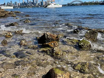 Athol Bay, anchorage in Sydney, Australia — photo 5