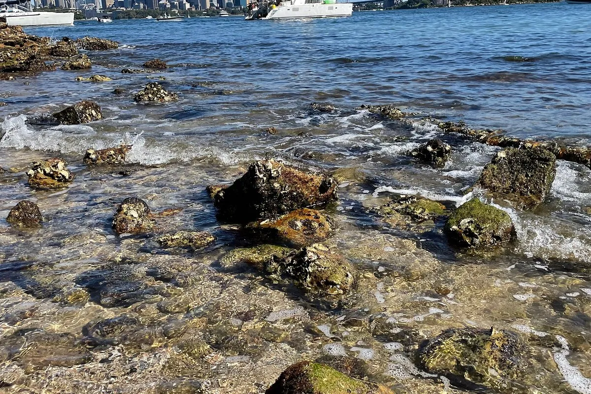 Athol Bay, anchorage in Sydney, Australia — photo 5