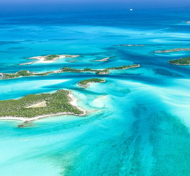 Pig Beach, stop in Exuma — photo 9